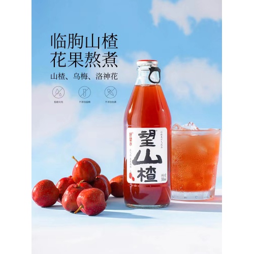 好望水望山楂山楂味气泡饮料300ml*24瓶/件