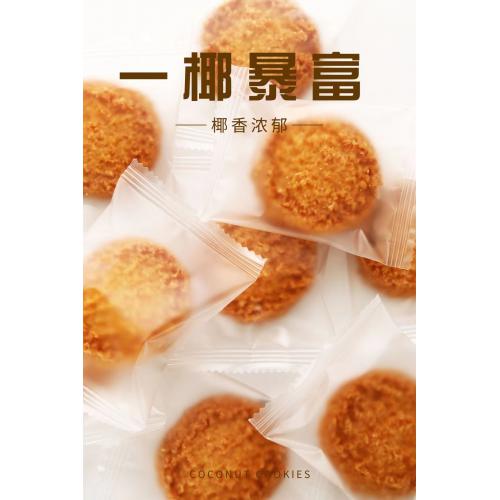 全味道椰子酥100g*24袋/件