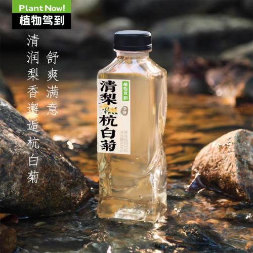 植物驾到 清梨杭白菊果味植物饮料500ml*15瓶/件