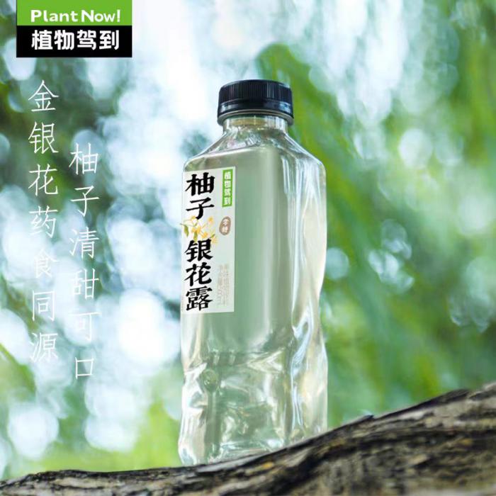 植物驾到 柚子银花露果味植物饮料500ml*15瓶/件