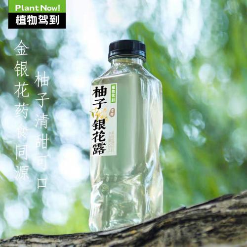 植物驾到 柚子银花露果味植物饮料500ml*15瓶/件