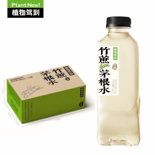 植物驾到 竹蔗茅根果味植物饮料500ml*15瓶/件