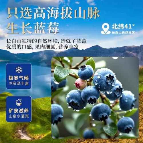 QLuck Farm快幸农场一颗蓝莓干（独立包）300g*16袋/件