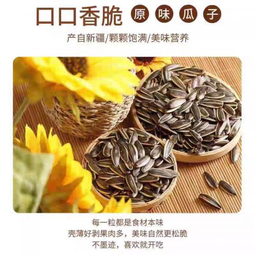 QLuck Farm快幸农场阿勒泰大瓜子470g*20包/件